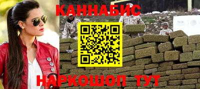 a pvp Новозыбков