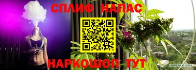 прущие грибы Будённовск