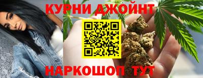 прущие грибы Будённовск