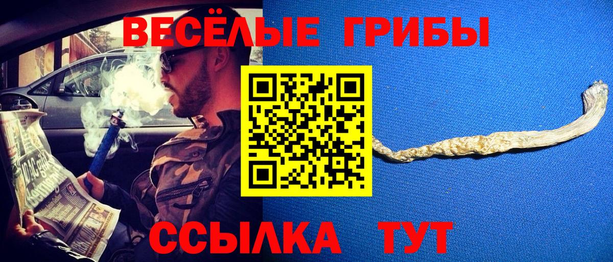 Заринск  Галлюциногенные грибы мухоморы  цены наркотик  Вход с VPN 